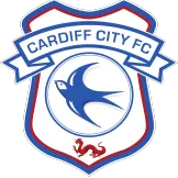 Cardiff City - camisetasfutbol