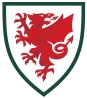 Gales - camisetasfutbol