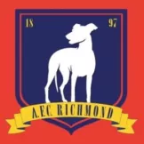 AFC Richmond - camisetasfutbol