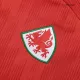 Camiseta de Fútbol Personalizada 1ª Gales 2022 Copa Mundial - camisetasfutbol