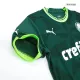 Camiseta SE Palmeiras 2023/24 Primera Equipación Local Hombre Puma - Versión Replica - camisetasfutbol