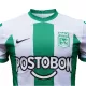 Camiseta Atlético National 2023 Primera Equipación Local Hombre - Versión Replica - camisetasfutbol
