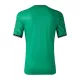 Camiseta Auténtica Newcastle United 2023/24 Segunda Equipación Visitante Hombre - Versión Jugador - camisetasfutbol