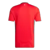 Camiseta Gales Euro 2024 Primera Equipación Local Hombre - Versión Hincha - camisetasfutbol