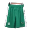 Pantalón Corto SE Palmeiras 2024/25 Segunda Equipación Visitante Hombre - camisetasfutbol