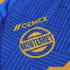 Camiseta Auténtica Tigres UANL 2024/25 Segunda Equipación Visitante Hombre - Versión Jugador - camisetasfutbol