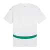 Camiseta Senegal 2024/25 Primera Equipación Local Hombre - Versión Hincha - camisetasfutbol