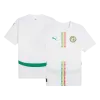 Camiseta Senegal 2024/25 Primera Equipación Local Hombre - Versión Hincha - camisetasfutbol