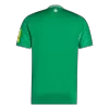 Camiseta Newcastle United 2025/26 Segunda Equipación - Versión Hincha - camisetasfutbol