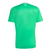 Camiseta Manchester United 2025/26 Portero - Versión Hincha - camisetasfutbol