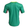 Camiseta Senegal 2026 Segunda Equipación Copa del Mundo - Versión Hincha - camisetasfutbol