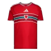 Camiseta Gales 2026 Primera Equipación Copa del Mundo - Versión Hincha - camisetasfutbol