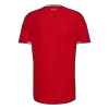 Camiseta Gales 2026 Primera Equipación Copa del Mundo - Versión Hincha - camisetasfutbol