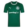 Camiseta SE Palmeiras 2026/27 Primera Equipación - Versión Hincha - camisetasfutbol
